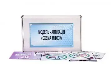 Модель-аплікація "Схема мейозу" Арт: 68867