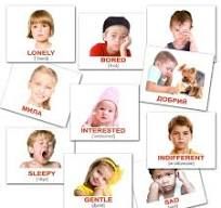 Набір карток Вундеркінд з пелюшок Емоції Emotions Міні-40