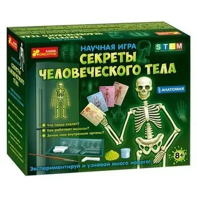 Наукова гра Секрети людського тіла 12115017Р