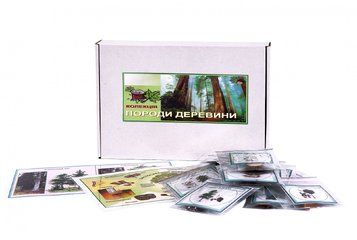 Колекція «Породи деревини» Арт: 90343