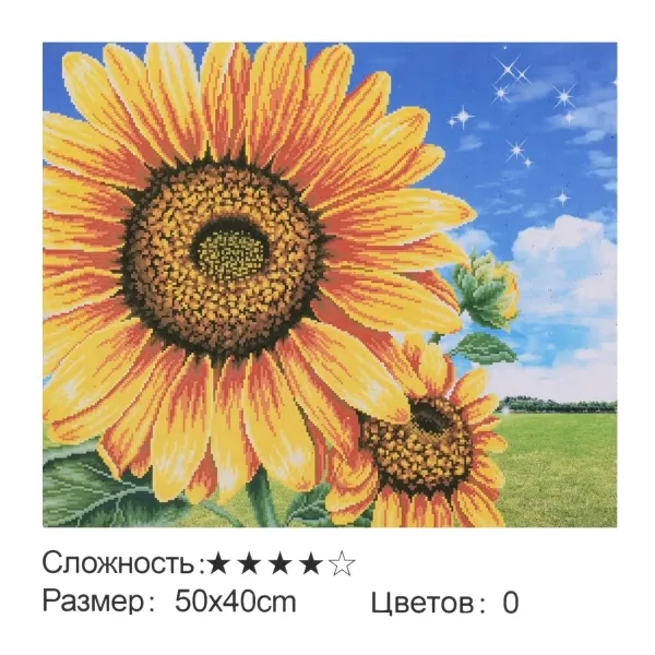 Картина по номерам + Алмазна мозаїка 2в1 YHDGJ75100