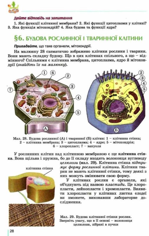 Біологія Підручник 6 клас Остапченко П. Г., Балан М. М., Мусієнко П. С. 2020 р. 4 видання, перероблене