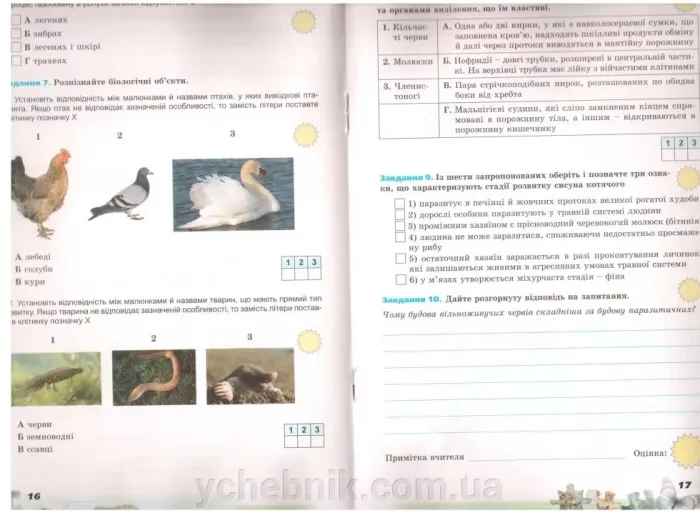 Біологія 6 клас Робочий зошит Мирна Л.А., Віркун В.О., Бітюк М.Ю. 2020
